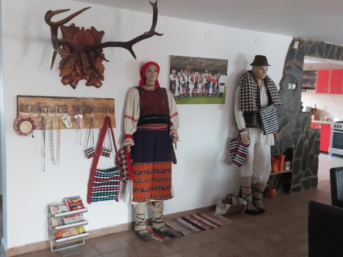 Pensiunea Schilacy Grosii Tiblesului Dış mekan fotoğraf