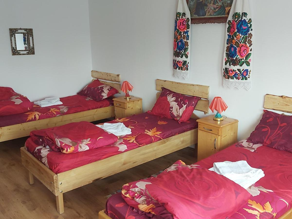 Pensiunea Schilacy Grosii Tiblesului Dış mekan fotoğraf