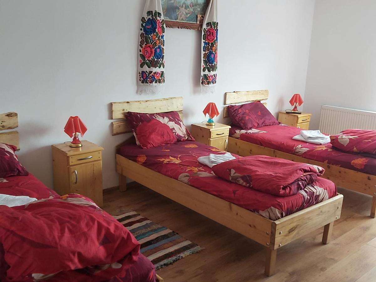 Pensiunea Schilacy Grosii Tiblesului Dış mekan fotoğraf