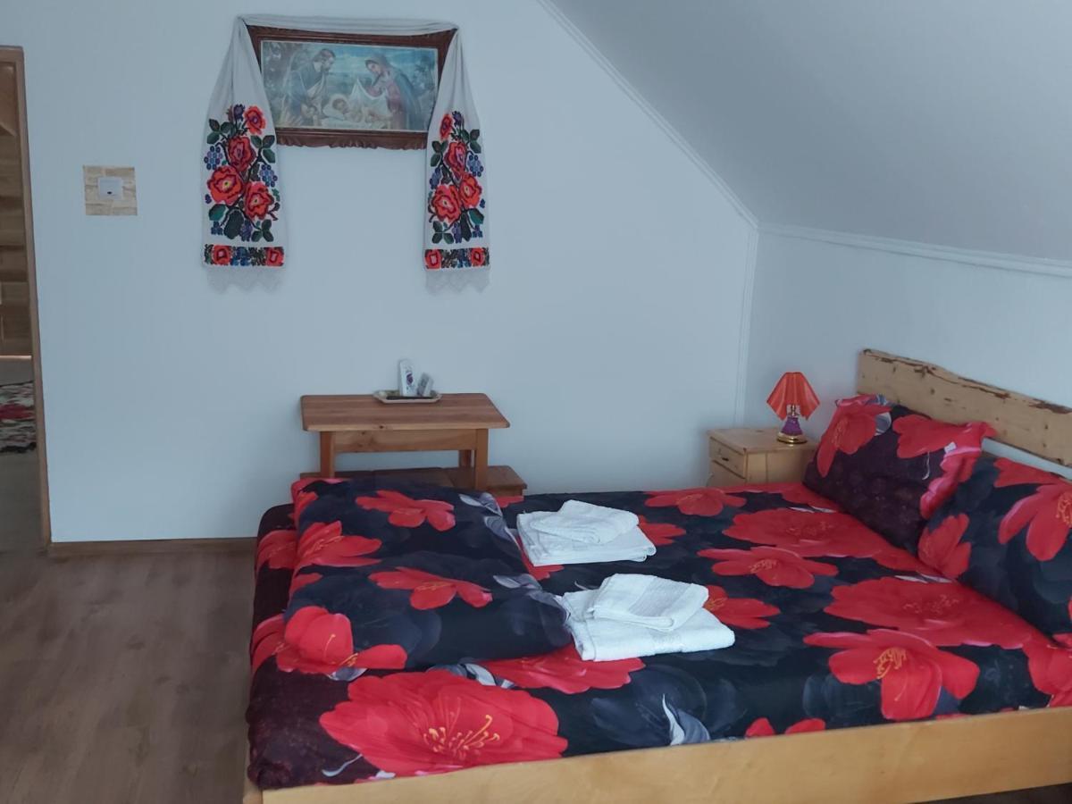 Pensiunea Schilacy Grosii Tiblesului Dış mekan fotoğraf