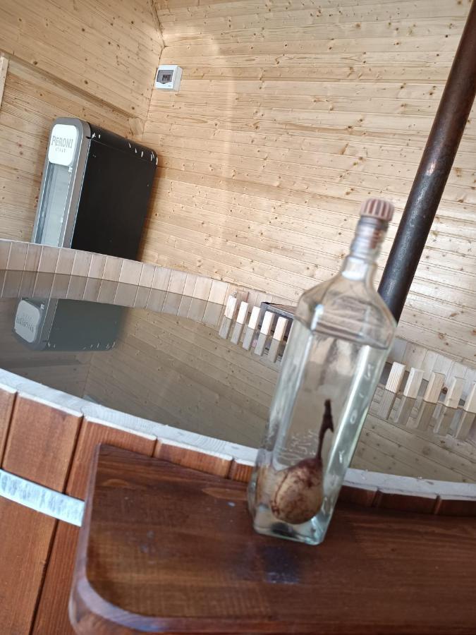 Pensiunea Schilacy Grosii Tiblesului Dış mekan fotoğraf