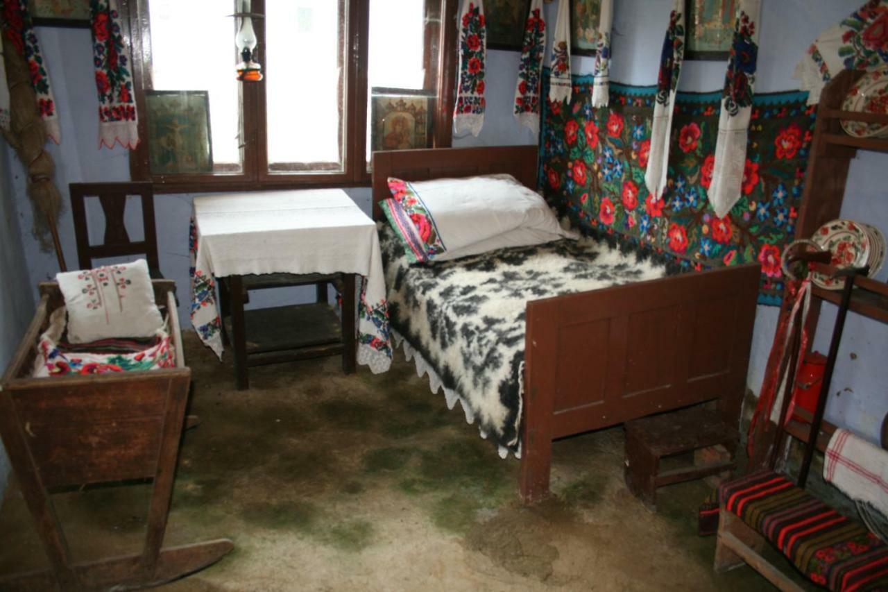 Pensiunea Schilacy Grosii Tiblesului Dış mekan fotoğraf